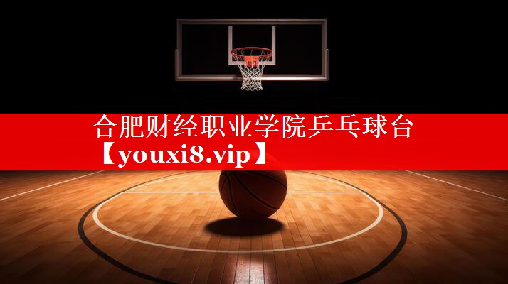 合肥财经职业学院乒乓球台