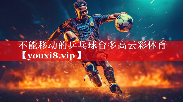 不能移动的乒乓球台多高云彩体育