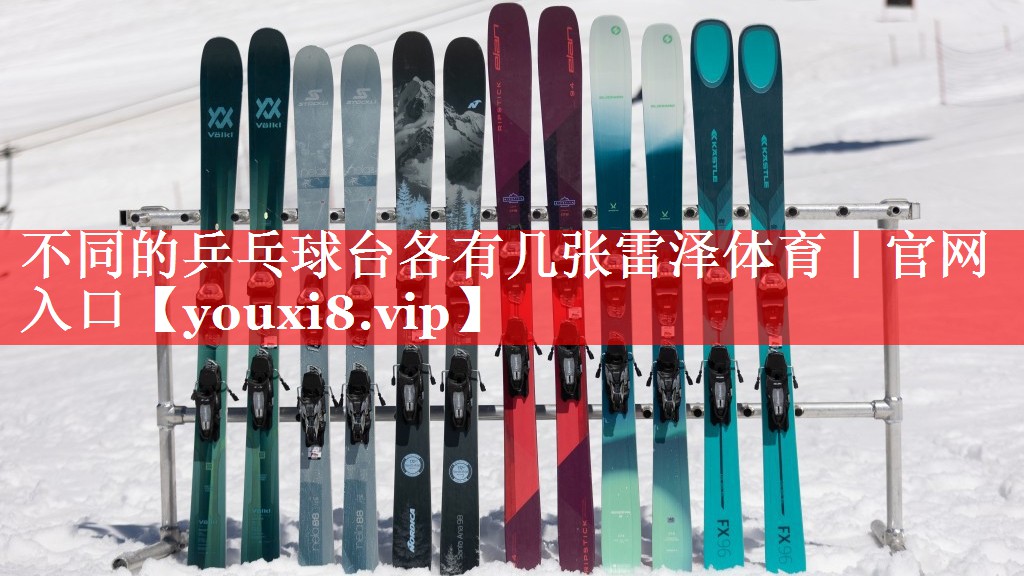 不同的乒乓球台各有几张雷泽体育｜官网入口