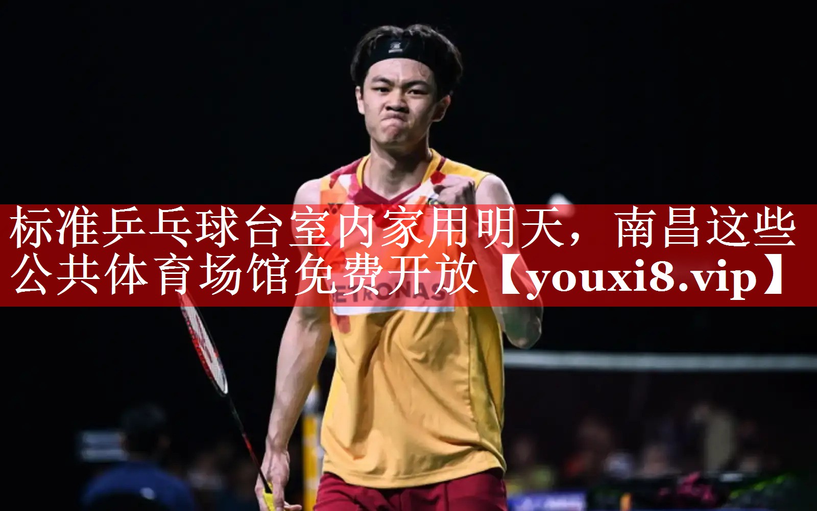 标准乒乓球台室内家用明天，南昌这些公共体育场馆免费开放