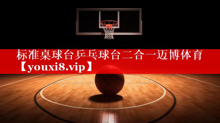 标准桌球台乒乓球台二合一迈博体育