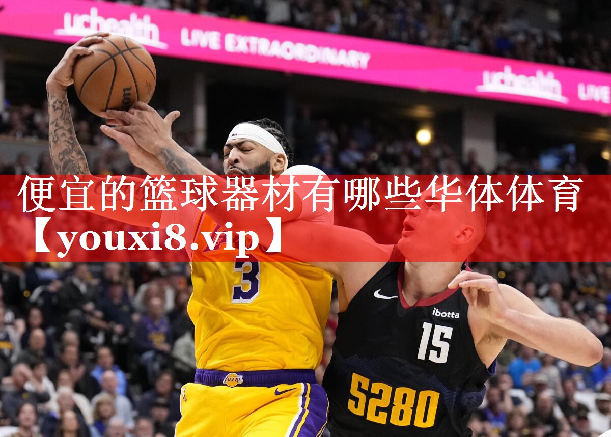 便宜的篮球器材有哪些华体体育