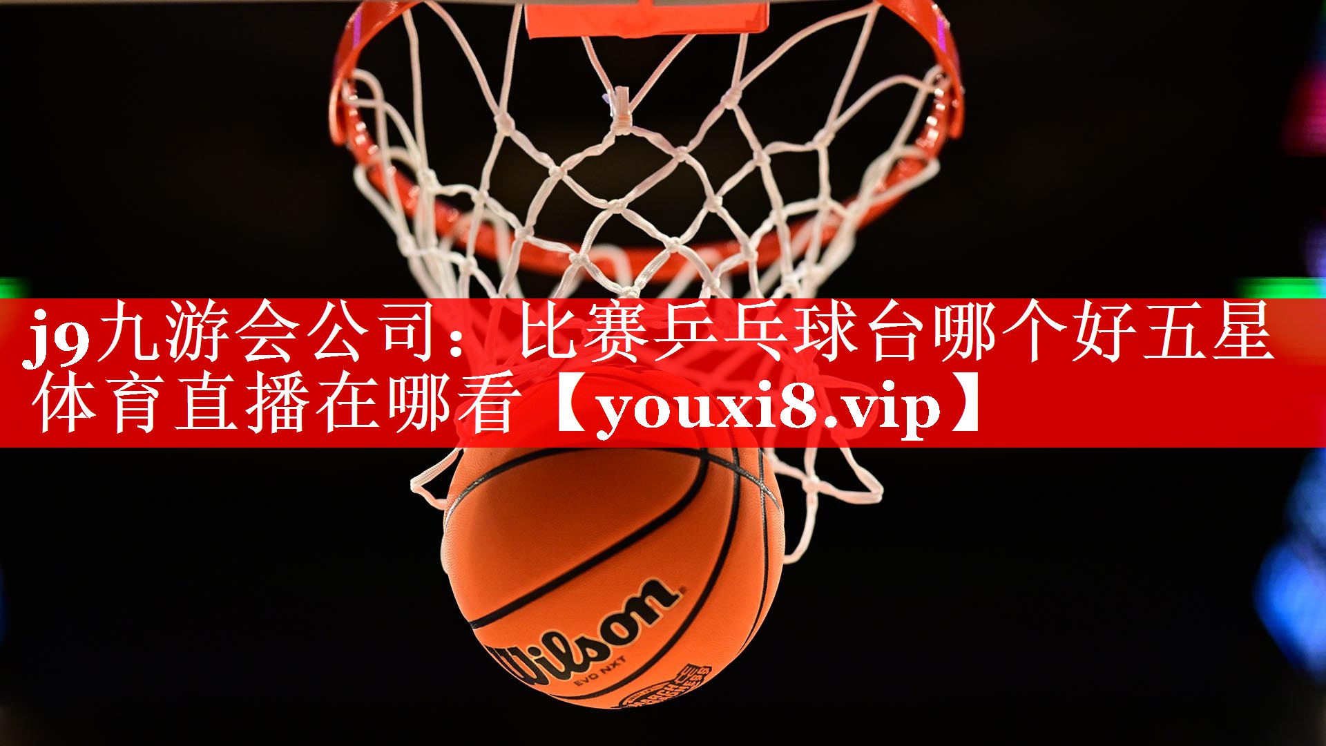 j9九游会公司：比赛乒乓球台哪个好五星体育直播在哪看