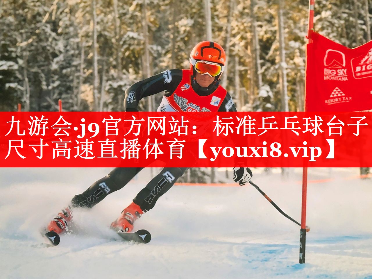 九游会·j9官方网站：标准乒乓球台子尺寸高速直播体育