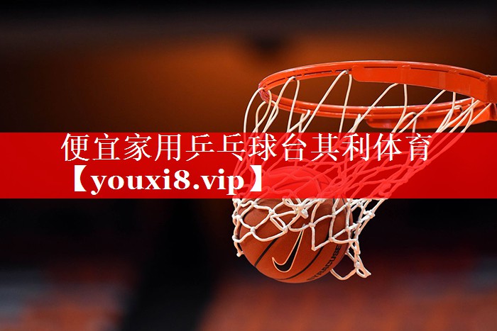 便宜家用乒乓球台其利体育