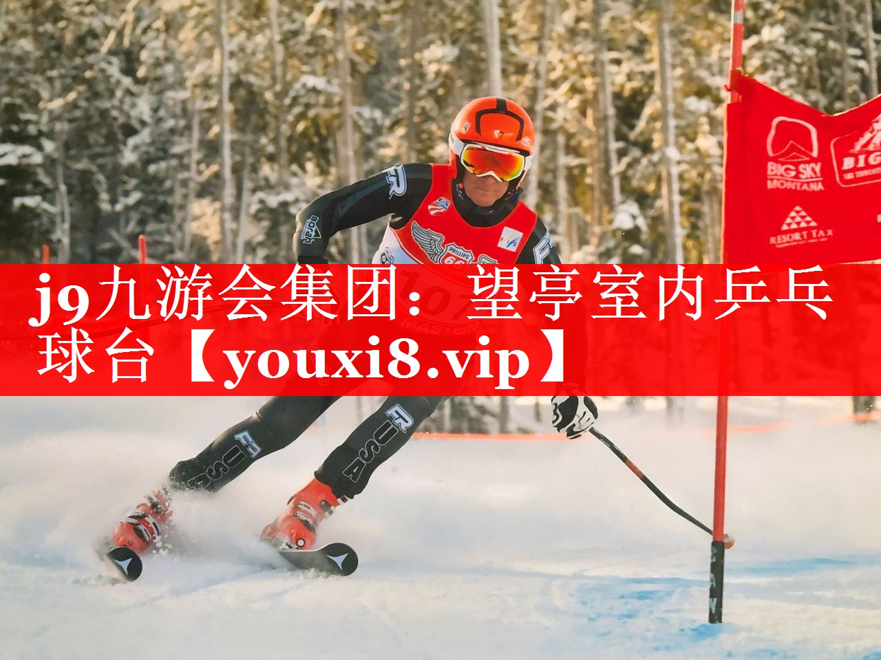 j9九游会集团：望亭室内乒乓球台
