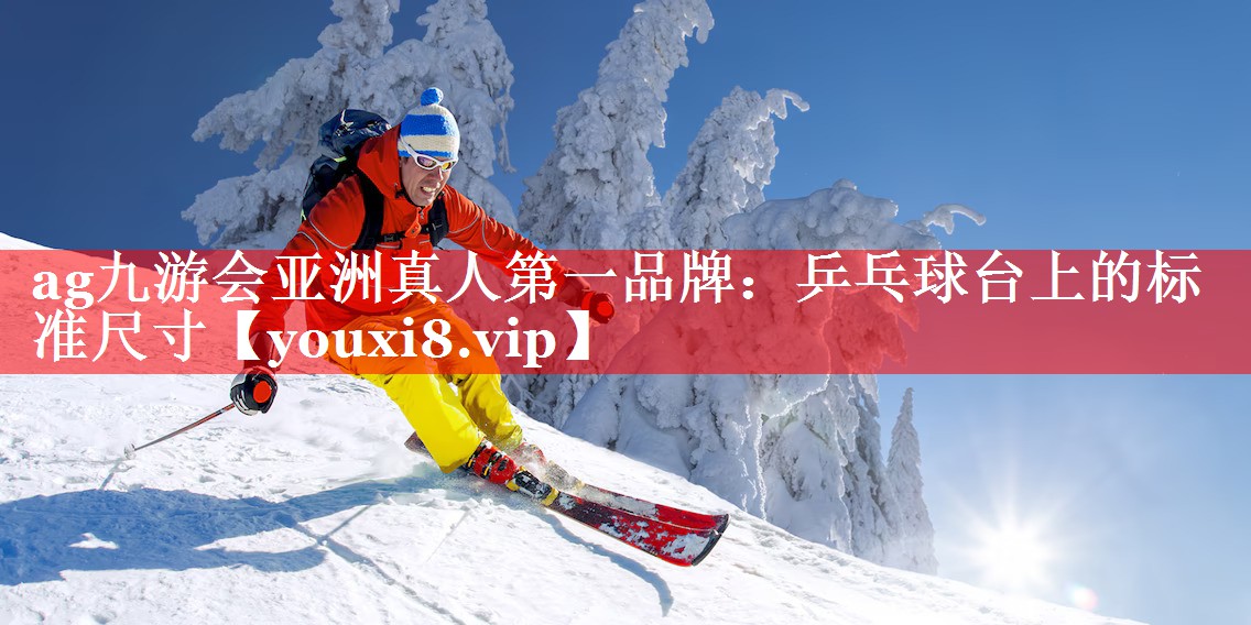 乒乓球台上的标准尺寸 乒乓球台上的标准尺寸