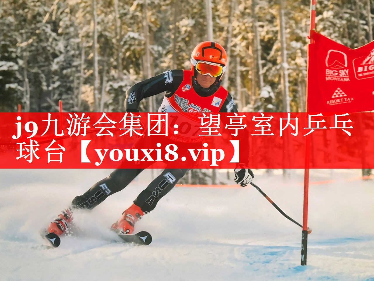 望亭室内乒乓球台