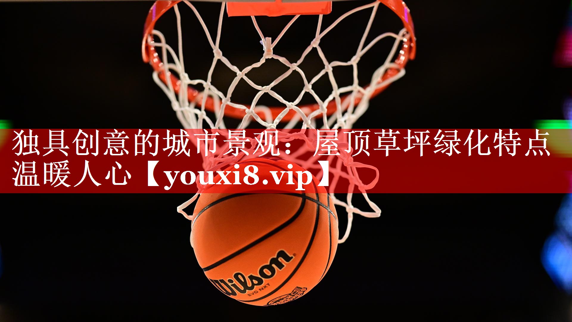 独具创意的城市景观：屋顶草坪绿化特点温暖人心